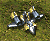 Series 9 Crop Duster Bomber