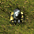 Series 9 Patrolbot